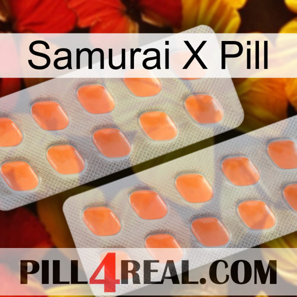 Samurai X Pill 27.jpg